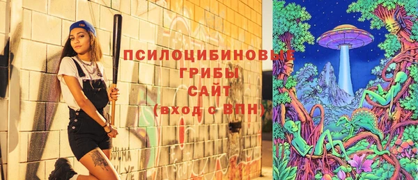 соль курить ск Горняк