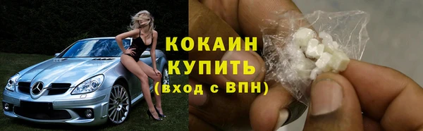 сатива Горнозаводск