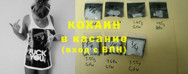 сатива Горнозаводск