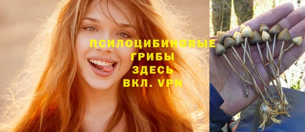 сатива Горнозаводск