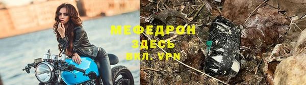 сатива Горнозаводск