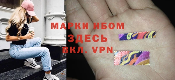 сатива Горнозаводск