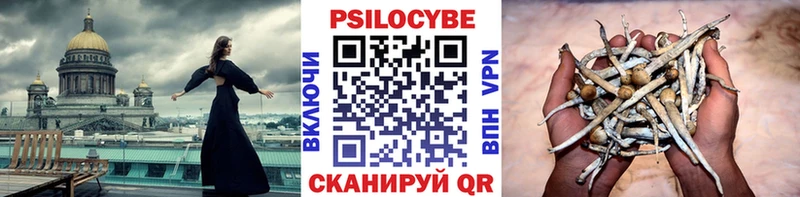 Галлюциногенные грибы Magic Shrooms  где найти наркотики  мега онион  Подольск 